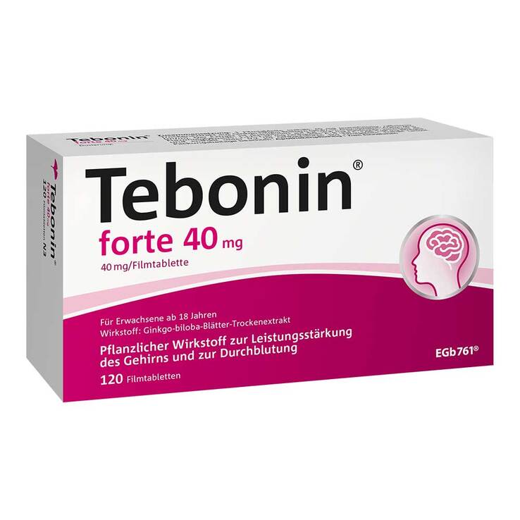 테보닌 포르테 40mg 은행잎추출물 필름정 120정