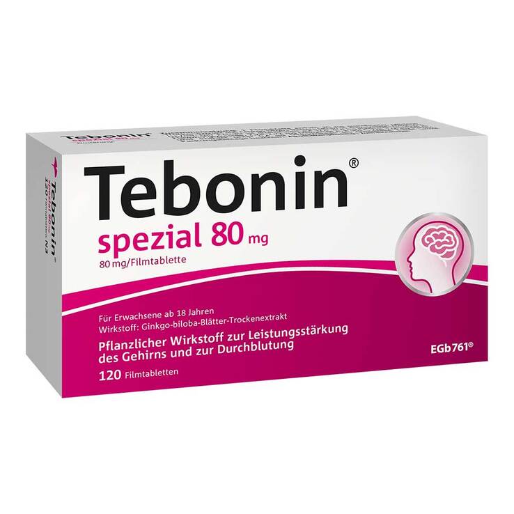 테보닌 스페셜 80mg 필름정 120정 (은행잎추출물)