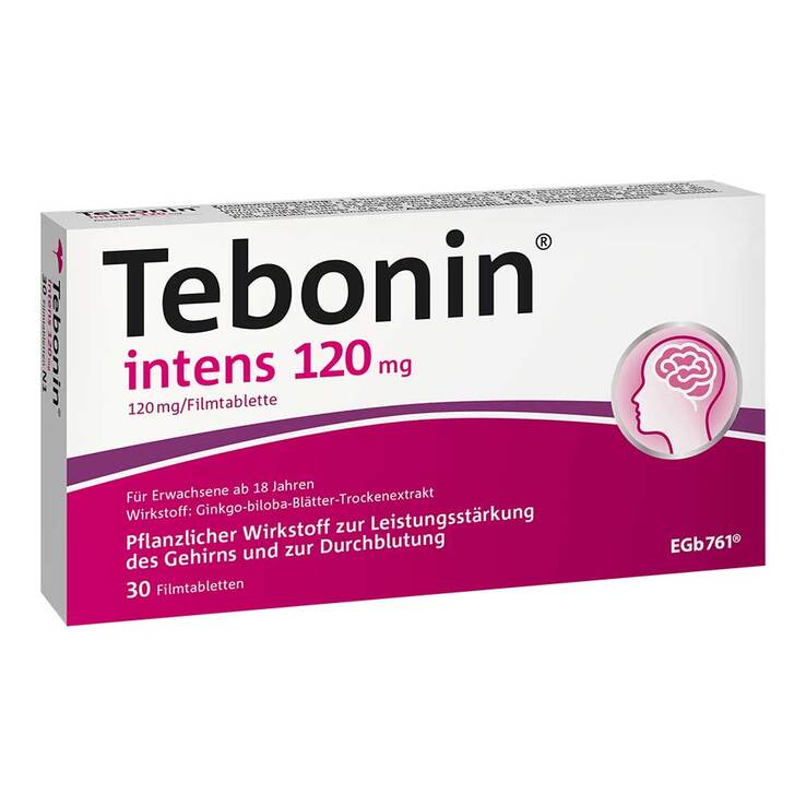 테보닌 인텐스 120mg 은행잎추출물 필름정 30정