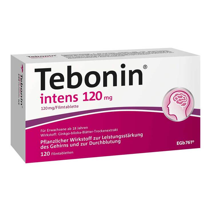 테보닌 인텐스 120mg 은행잎추출물 필름정 120정